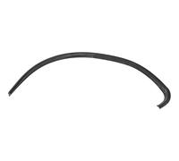 Lèche vitre extérieur de porte avant droite pour VW Golf 2 (08/1983-07/1987) ...