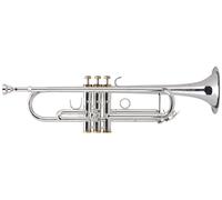 Lechgold Trompette en Sib Plaqué Argent 3 Piston Bronze Set Coffret Embouchure