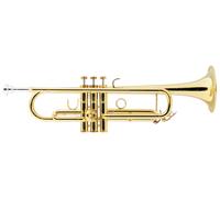 Lechgold Trompette Jazz en Sib Laquée Laiton 3 Piston Set Embouchure Housse