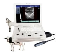 L'échographe vétérinaire portable N20 est équipé d'une sonde et convient à la détection des maladies et des grossesses chez divers animaux. (Sonde rectale linéaire de 6,5 MHz)