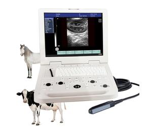 L'échographe vétérinaire portable N20 est équipé d'une sonde et convient à la détection des maladies et des grossesses chez divers animaux. (Sonde rectale linéaire de 6,5 MHz)