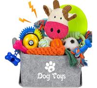 LECHONG Lot de 21 jouets de démarrage pour chiot - Jouets à mâcher enrichis avec boîte à jouets pour chien - Jouets de dentition pour chiots de 8 semaines à 12 semaines - Pour jouer et dresser les