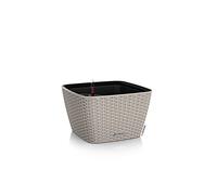 Lechuza BACINO Cottage Brun Sable 15458