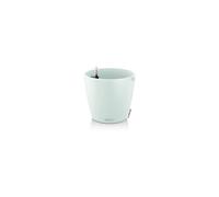 LECHUZA-Classico Color 21 kit complet Trend D21x H20