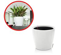 LECHUZA Classico Premium LS 28 Pot de fleurs Blanc brillant Ø28cm Kit complet 7L