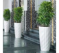Lechuza Diamante Premium Blanc Mat 15701