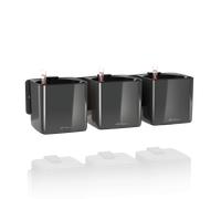 Lechuza Ensemble CUBE Premium Green Wall Home - anthracite brillant
