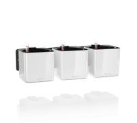 Lechuza Ensemble CUBE Premium Green Wall Home - blanc ultra brillant