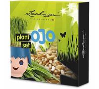 LECHUZA Ensemble de plantes oculaires