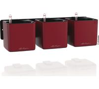 Lechuza Green Wall Home Kit - rouge scarlet mat