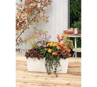 LECHUZA Jardiniere Balconera Color 50 ALL-IN-ONE Blanc 15670