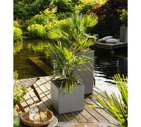 Lechuza Jardinière Canto Stone 40 Led Low All-In-One 40x40 Cm