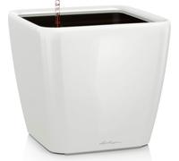 Lechuza Jardinière QUADRO Premium LS 21 - blanc brillant