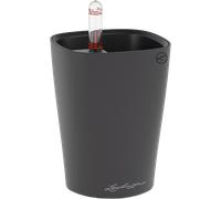 Lechuza MINI DELTINI - gris basalte mat