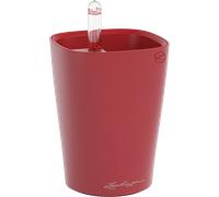 Lechuza MINI DELTINI - rouge scarlet mat