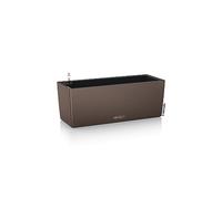 Lechuza BALCONERA Color 50 - muscade