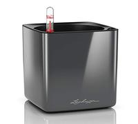 Lechuza Pot de fleurs d'intérieur Cube Glossy – Réserve d'eau intégrée – Anthracite 14×14×14 cm