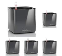 Lechuza - Pot de Fleurs d'Interieur - Cube Glossy - Réserve d'eau Intégrée - Coloris Anthracite - 14 x 14 x 14 cm (Lot de 5)