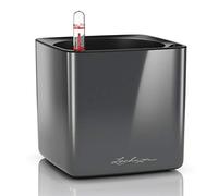 Lechuza - Pot de Fleurs d'Interieur - Cube Glossy - Réserve d'Eau Intégrée - Coloris Anthracite - 14 x 14 x 14 cm