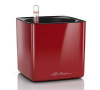 Lechuza - Pot de Fleurs d'Interieur - Cube Glossy - Réserve d'Eau Intégrée - Coloris Rouge Scarlet - 14 x 14 x 14 cm