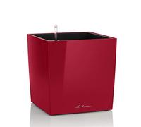 Lechuza - Pot de Fleurs d'Interieur - Premium Cube - Réserve d'Eau Intégrée - Coloris Rouge Scarlet - 40 x 40 x 40 cm