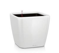 Lechuza Pot de fleurs d'intérieur Premium Quadro LS Réserve d'eau intégrée Blanc 21×21×20 cm