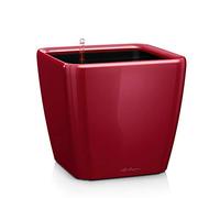 Lechuza - Pot de Fleurs d'Interieur - Premium Quadro Ls - Réserve d'Eau Intégrée - Coloris Rouge Scarlet - 28 x 28 x 26 cm