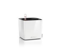 LECHUZA Pot de table CUBE Glossy 14 Blanc Highgloss | Pot avec arrosage et bac à plantes | Surface brillante | 14 x 14 x 13,5 cm | 13510