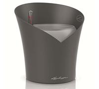 Lechuza - Pot pour Orchidée - Orchidea - Réserve d'Eau Intégrée - Coloris Gris Ardoise - 18 x 18 x 20 cm