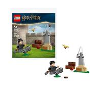 LECON DE QUIDDITCH HPOTTER Lego LEG30706
