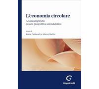 L'economia circolare. Analisi empiriche da una prospettiva aziendalistica