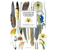 Affiches à colorier : Leçons de choses