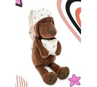 LeCoon Chien en Peluche - 500+ Histoires, comptines et berceuses