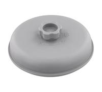 Lecreatekit Flowclear Couvercle de filtre avec valve d'aération et joint d'étanchéité pour système de filtration de piscine, plastique, 10 x 10 cm