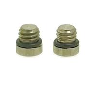 Lecreatekit Ti Lot de 2 vis de purge de vélo en alliage pour tête T10 pour frein hydraulique SRAM RSC/ULT/G2/LEVEL/TL, argent avec bagues d'étanchéité