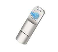 Lecteur d'empreintes digitales USB C clignotant en métal de type C pour ordinateur portable et téléphone 256 Go 128 Go 64 Go 32 Go 16 Go Gestion de disque USB Transfert de données rapide