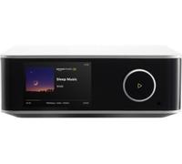 WiiM Lecteur réseau audio Ultra Silver