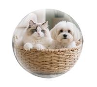 Lecteur vidéo Boule de - Boule d'affichage numérique de 2,7 Pouces, Boule de Lecture multimédia créative, Cadeau Photo décoratif | Haut-Parleur LED Portable avec qualité Audio améliorée pour