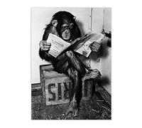 Lecture Journal Singe Affiche Noir Blanc Animal Toile Peinture Orang-Outan Photos Imprime Moderne Toilettes Décoration 40x65cm (16x26in) Sans Cadre