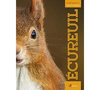Ecureuil