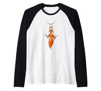 L'écureuil Roux, ça dépend Manche Raglan