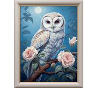 Leczany Kit de point de croix 11CT 3 brins - meme kit de démarrage de broderie pré - imprimée canevas kit complet adulte ou enfants pour les debutants - Clair de lune La Chouette 33x43cm