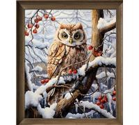 Leczany Kit de point de croix à faire soi - meme kit de démarrage de broderie pré - imprimée canevas kit complet adulte ou enfants pour les debutants - Hibou dans la neige 36x42cm