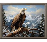 Leczany Kit de point de croix à faire soi - meme kit de démarrage de broderie pré - imprimée canevas kit complet adulte ou enfants pour les debutants - Aigle des montagnes enneigées 52x39cm