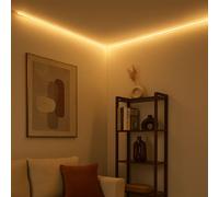 Paulmann Bandeau LED Rayures, luminaire de cuisine, blanc chaud, argenté, gradable, L