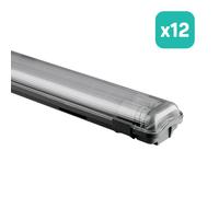 LED Batten Fitting - Dual Tube 2 x 20W - IP65 Waterproof - White - 2 x 2100 Lumens - 6500K - 150CM - Lot de 12