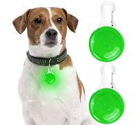 LED Collier lumineux pour chien, animal de compagnie avec 3 modes clignotants, Pequeño, Silicone
