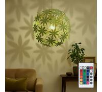 LED Fleurs Couvercle Luminaire Modulable la Vie Chambre Suspendu RGB Éloigné