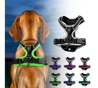 LED Hundegeschirr, Hundegeschirr Leuchtend, Light Up Hundegeschirrs, LED Rechargeable Hunde-Sicherheitswestenlichter Für Nachtspaziergänge(Noir, M)