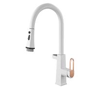 LED Kitchen Faucet with Temperature Digital Display,3-Modes Kitchen Faucet with Pull Down Sprayer,Brass Single Handle High Arc Kitchen Sink Mixer Taps,White (Black)